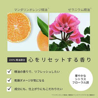 ザ パブリック オーガニック スーパーバウンシー DM シャンプー ポンプ 480ml カラーズ