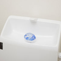 液体ブルーレットおくだけ きらめく彩りの花 はなリウム トイレタンク芳香洗浄剤 エッセンシャルミュゲの香り 詰め替え用 70ml 小林製薬