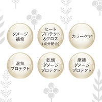 【アウトレット】サロンスタイル BIOLISS ビオリス ボタニカルエステティーク リファイニング シャンプー 詰め替え 400ml 2個