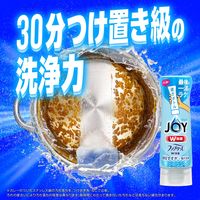 ジョイ JOY W除菌 食器用洗剤 W消臭 フレッシュクリーン 本体 170mL 1セット（3個） P&G