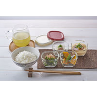 HARIO （ハリオ） 耐熱ミニ角小鉢4個セット ホワイト 110ml ふた付 MKK-2012-OW 1個