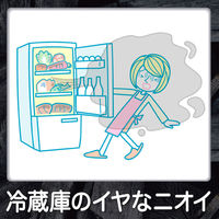 脱臭炭 冷蔵庫 野菜室用 脱臭剤 置き型 ニラ・ネギの臭いも効く 1個 エステー