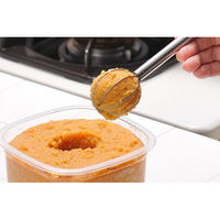 計量みそマドラー 味噌汁 計量スプーン