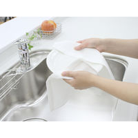 ビストロ先生 銀糸の抗菌の物語 菌の繁殖を抑える抗菌・防臭ふきん 1セット（1枚×2）サンベルム