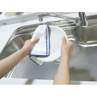 ビストロ先生 綿ガーゼふきん 台ふきん 食器ふきん のり付け加工なし 2枚入 1セット（1パック×2）サンベルム