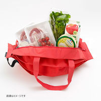 シュパット（Shupatto） 保冷 バッグ M（レッド） おすすめ 人気 折りたたみ 買い物 レジャー S445R 1個 マーナ