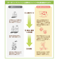 バスタオル オーガニックコットン ブラウン（茶） 約60×120cm 2枚セット 林