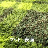 トイレセット2点（トイレマット・兼用フタカバー） Cafesulu？（カフェスル？） タータンチェック 1セット オカトー