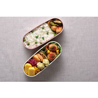 サーモス（THERMOS） フレッシュランチボックス 2段式 600ml ライトピンク DJT-600W LP 1個 弁当箱