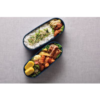 サーモス（THERMOS） フレッシュランチボックス 2段式 600ml ネイビー DJT-600W NVY 1個 弁当箱