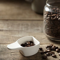 karari（カラリ） 珪藻土 コーヒーメジャースプーン 30ml 1個 アネスティカンパニー