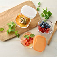 HARIO（ハリオ） 耐熱ガラス製保存容器 ミニ角小鉢 シリコーンフタ 1セット（3個入） MKK-SI-2024 日本製