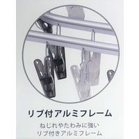 ハンズ オリジナル ポリカーボネート ピンチハンガー44 1個