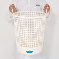 フレディレック New ランドリーバスケット ビッグ 1個