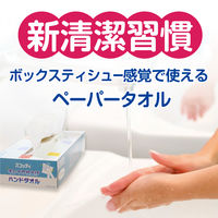 ペーパータオル 小判 ダブル スコッティ キレイの仕上げハンドタオル 1パック（5個入） 日本製紙クレシア