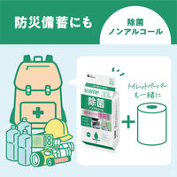 ウェットティッシュ　除菌シート ノンアルコール スコッティ ウェットティシュー除菌 携帯用 1個（33枚入） 日本製紙クレシア