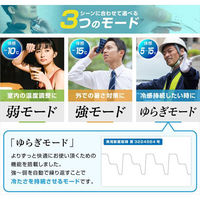 サンコー ネッククーラーEVO 専用バッテリーモデル ブラック TN-NEMB3-BK 1個