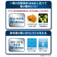 ダリヤ サロンドプロ EX　メンズヘアマニキュア（白髪用） 6　ダークブラウン 4904651182930 1個（直送品）