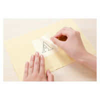 コスモ(COSMO) スマ・プリ 水に溶ける刺しゅう図案転写シール 約 28.5cm×20.5cm 2枚入り COT412501（直送品）