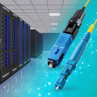 サンワサプライ  メガネ2芯光ファイバケーブルのみ100m（シングルモードOS2） HKB-M2OS2-CB100（直送品）