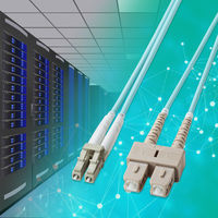 サンワサプライ  補強メガネ型光ファイバケーブル（マルチOM3、LC×2-SC×2、10m） HKB-HOM3LCSC-10（直送品）