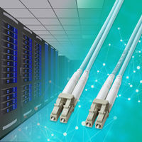 サンワサプライ  補強メガネ型光ファイバケーブル（マルチOM3、LC×2-LC×2、10m） HKB-HOM3LCLC-10（直送品）