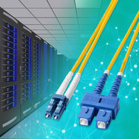 サンワサプライ  補強メガネ型光ファイバケーブル（シングルモード、LC×2-SC×2、10m） HKB-HLCSC1-10（直送品）