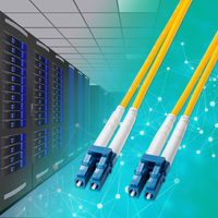 サンワサプライ  補強メガネ型光ファイバケーブル（シングルモード、LC×2-LC×2、10m） HKB-HLCLC1-10（直送品）