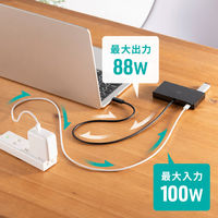 サンワサプライ  USB Type-Cドッキングステーション USB-DKM10BK（直送品）