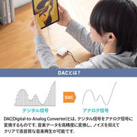 サンワサプライ  イヤフォンジャック付きType-Cハブ USB-5TCPA23W（直送品）