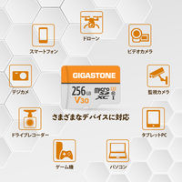 GIGASTONE microSDXCカード U3 V30 256GB2 2枚入り GJMXR-OG256GV30-2PK 1セット