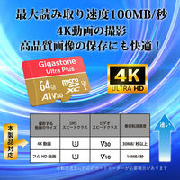 GIGASTONE microSDXCカード UHSー1 A1 V30 64GB 2枚入り GJMXR-64GV3A1100R-2PK 1セット