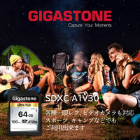 GIGASTONE SDXCカード UHSー1 U3 A1 V30 64GB 2枚入り GJSXR-64GV3A1-2PK 1セット