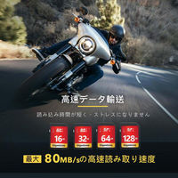 GIGASTONE SDXCカード UHSー1 U1 class10 128GB 2枚入り GJSXR-128GU1-RED-2PK 1セット