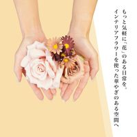 フラワーブーケ リードディフューザー Fig＆Musk bouquet 100mL 1セット（1個×3） 藤栄