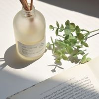 リードスティック 250mm 1セット（1袋（10本入）×3） アートラボ