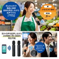 アーテック 拡声器付きマイク 52313 1本