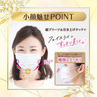 白元アース ビースタイル プリーツタイプ ふつうサイズ プレミアムホワイト 58231-0 1袋(5枚入) JIS規格 一般用マスク適合