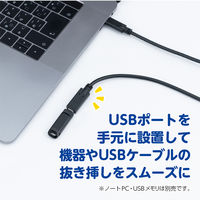 ナカバヤシ USB2.0 延長ケーブル TypeーC PD100W対応 1m ブラック USB-EC2010BK 1個