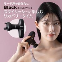 大東電機工業 スライヴ スリースタイルガン ホワイト BMー01(WH) 1台