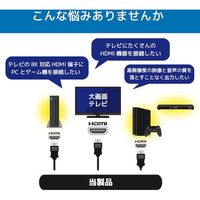 ラトックシステム RATOC 8K60Hz/4K120Hz対応 4入力1出力 HDMI切替器 RS-HDSW41-8K 1個（直送品）