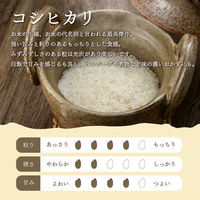 新潟県産コシヒカリ 5kg 1袋 無洗米 令和7年産 お米 ヤマイチライス