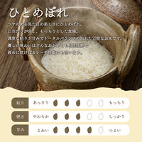 岩手県産ひとめぼれ 5kg 1袋 無洗米 令和7年産 お米 ヤマイチライス