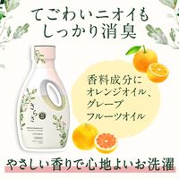 さらさ 洗濯洗剤 液体 詰め替え 超特大 1.01kg 1個 P＆G【旧品】