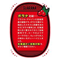 ホッカイドウハイボールの素 ガラナ風味 16度 710ml 1本 合同酒精 リキュール