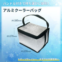 熱中症対策キット 9点 シルバー 1セット 熱中症対策用品 暑さ対策 クーラーバッグ コンパクト 瞬間冷却剤 ゼリー ドリンク（直送品）