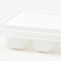 アイストレー2点セット ホワイト LAKOLE/ラコレ