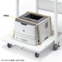 サンワサプライ 固定ベルト(2本セット) RAC-BL1N 1セット(2本入)（直送品）