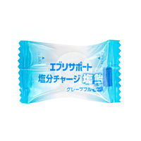 塩分補給 塩分対策 個包装 エブリサポート 塩分チャージ塩飴 20粒入 80g  1セット(1個×6) 日本薬剤