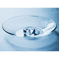 大香 お香皿／香立て HFT Glass Incense Holder クリア×クリア 1セット（香皿1枚／香立て1個）